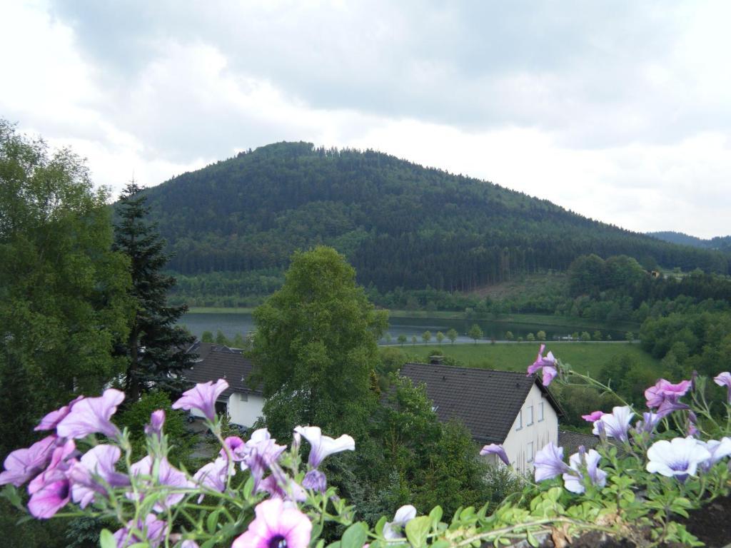 Apartment Schoenblick Winterberg Exterior photo